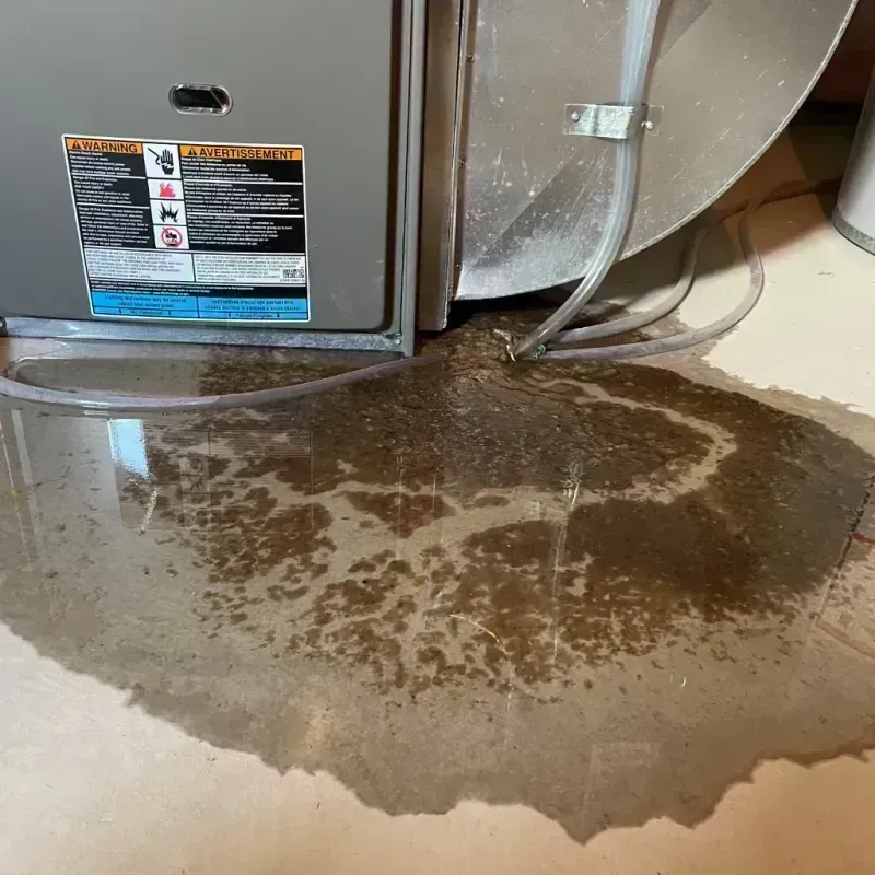 Appliance Leak Cleanup in West Feliciana Parish, LA